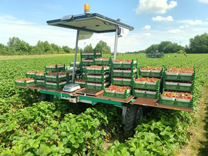 robot agrícola de transporte