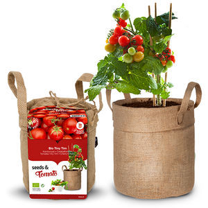 semilla de tomate cherry roja