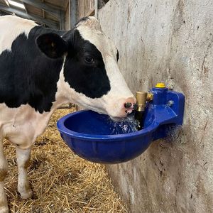 bebedero para bovinos