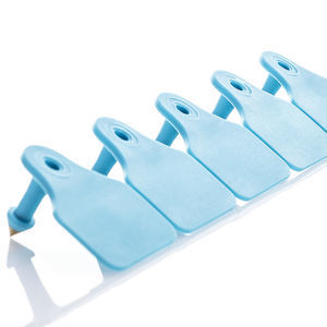 crotal para oreja para ovinos
