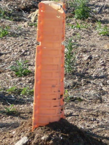tubo de plantación para viñedos