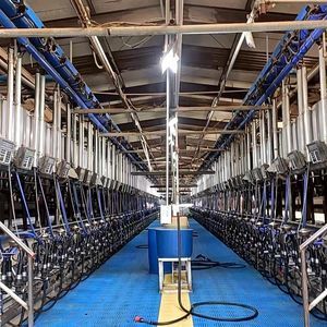 sala de ordeño paralela