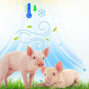 complemento alimenticio para animales 1
