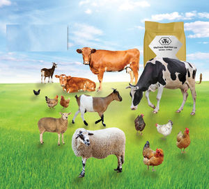 aditivo alimentario adsorbente de micotoxinas