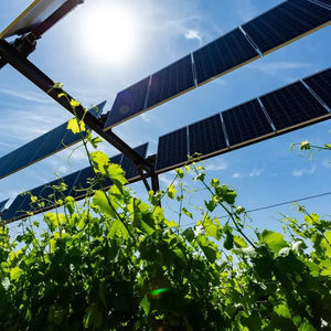 estructura agrivoltaico para viña