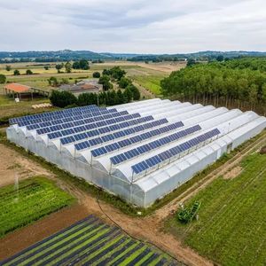 estructura agrivoltaico para cultivo
