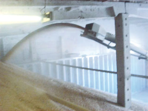 Transportador para cereales - CanAgro GmbH - de banda / móvil / convencional