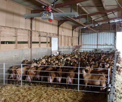 Empujador de vacas con actuador eléctrico - CEB - Silofarmer
