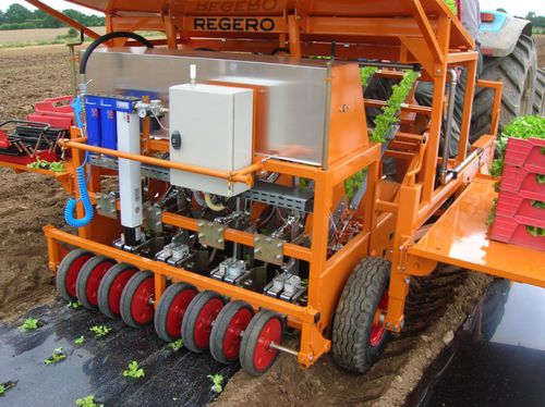 Plantadora de hortalizas - R2106 - CM REGERO Industries - manual / 3 hileras / 4 hileras