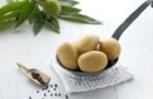 Semilla de patata precoz - Gunda - EUROPLANT Pflanzenzucht GmbH - de consumo / larga / resistente a la sarna verrugosa