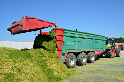 Remolque volquete - FORTIS 3000 - Farmtech d.o.o. - de 3 ejes / de granos / 23 toneladas