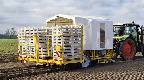 Plantadora para patatas - GECKO - ROPA Fahrzeug- und Maschinenbau GmbH - manual / de acoplamiento