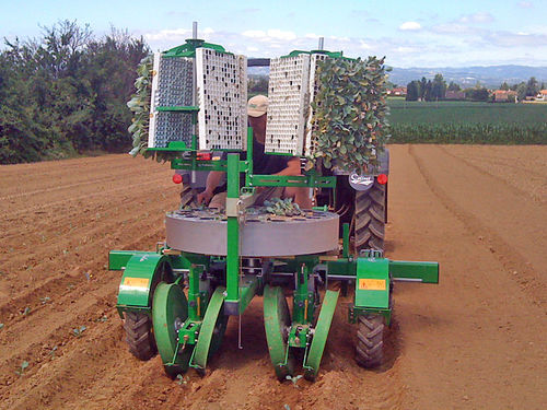 Plantadora de lechugas - F18 - C18 - SFOGGIA Agriculture Division S.r.l. - de tomates / de tabaco / manual