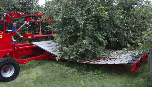 Vibradora para árboles de ciruelas - MAJA AUTOMATIC-TS - Weremczuk FMR Sp. z o.o. - de arrastre / mecánica