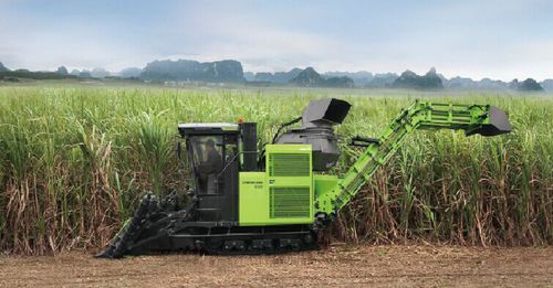 Cosechadora de caña de azúcar - AS60 4GQV-1A - Zoomlion Heavy Machinery Co., Ltd. - autopropulsada / de orugas