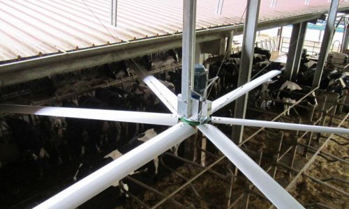 Ventilador para instalación agrícola - BIG Fan - ARIENTI PAOLO & C. s.a.s. - de circulación de aire / de techo