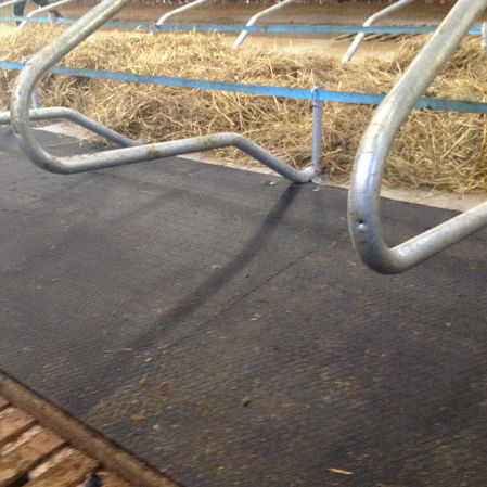 Colchón para vacas de caucho - altea - Bioret Agri - para casillas