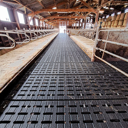 Estera de caucho - MAGELLAN® P-Type - Bioret Agri - para la ganadería bovina / confort de la vaca / antideslizante