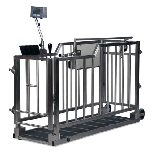 Sistema de pesaje para terneros - BOSCHE GmbH & Co. KG - digital / automático / móvil