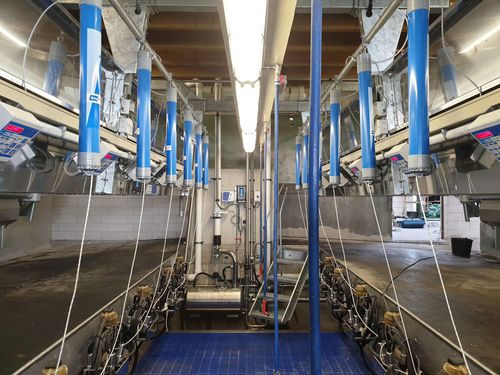 Sala de ordeño para vacas - STREAMWAY 90 - BouMatic - paralela