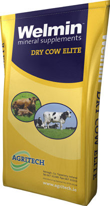Complemento alimenticio para animales - Welmin Dry Cow Elite - AGRITECH - para vacas secas / de minerales / de vitaminas
