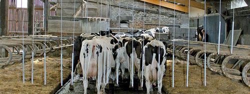 Empujador de vacas con actuador eléctrico - CRD - Concept Rolland Developpement