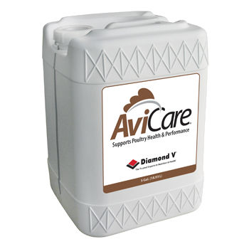Complemento alimenticio para animales - AviCare® - Diamond V - para aves de corral / con levaduras / líquido
