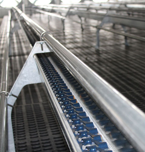 Sistema automático de distribución de alimentos de cadena - Hog Slat - para aves de corral / de canal