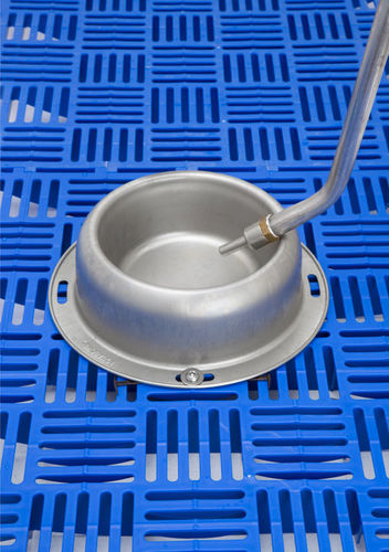 Bebedero para porcinos - AquaBowl - Hog Slat - bol / de acero inoxidable