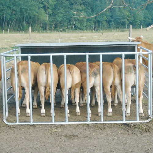Contenedor de alimento para bovinos - NO7000 - JOURDAIN - de acero / multiacceso / fijado al suelo
