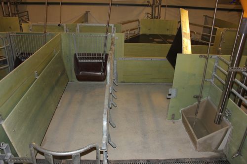 Caja de parto con suelo alistonado - JLF10 SWAP - Skiold