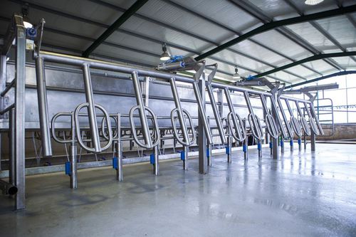 Sala de ordeño para vacas - MP Armektron Superb - MILKPLAN S.A. - paralela