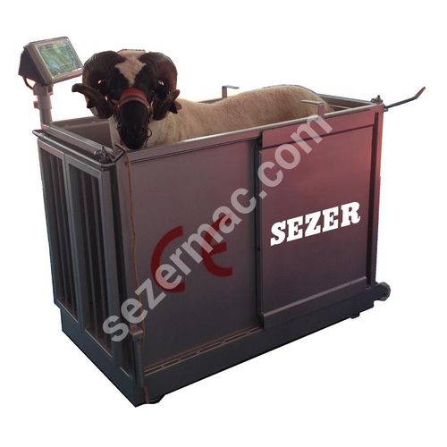 Balanza para corderos - SEZER TARIM ve Sagim Teknolojileri San. ve Tic. Ltd. Sirketi - para cabras / digital / de suelo