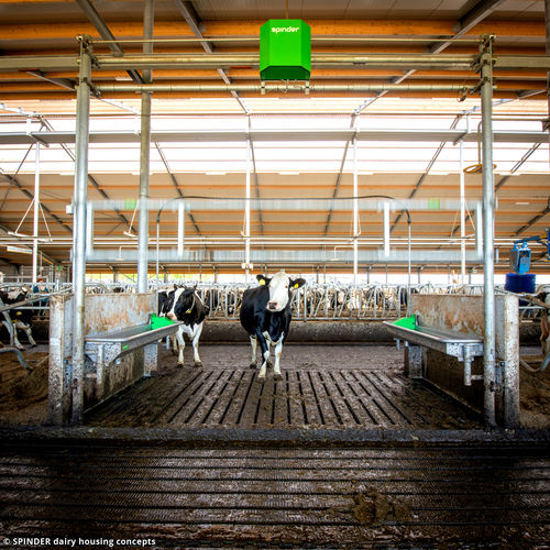 sistema de vigilancia para ganado - Spinder Dairy Housing Concepts