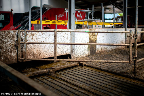 Barrera para la ganadería - Telescopic partition barrier - Spinder Dairy Housing Concepts - de estabulación / para vacas / de metal
