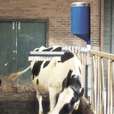 Cepillo para la ganadería - VINK ELST B.V. - estacionario / para vacas / horizontal