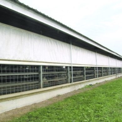 Malla estor enrollable - Artex Barn Solutions LTD. - para ganadería / automática