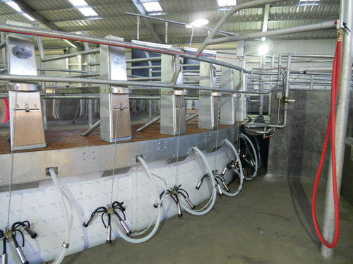 Sala de ordeño para vacas - BXR - BECO Dairy Automation, Inc. - rotativa