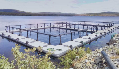 Jaula de pesca flotante - Mørenot Aquaculture AS - cuadrada