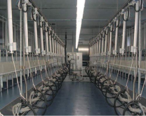 Sala de ordeño para cabras - SAC Christensen & CO. - paralela