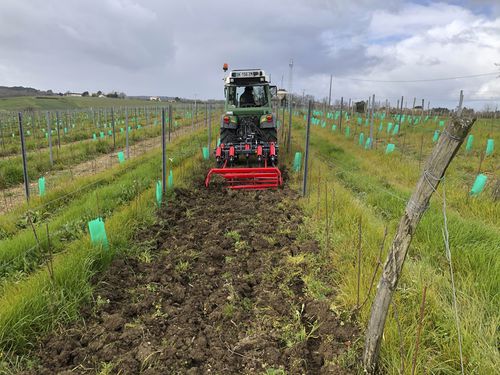 Cultivador remolcado - NRB series - KIRPY - con rodillo / con enganche en tres puntos / de brazos rígidos