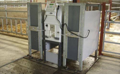 Sistema automático de distribución de alimentos para terneros - MILKER - Orvalex - con tolva