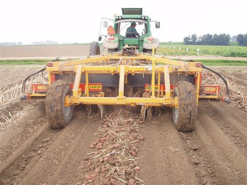 Cosechadora para patatas - 4 - Samon bv - de arrastre / 4 hileras