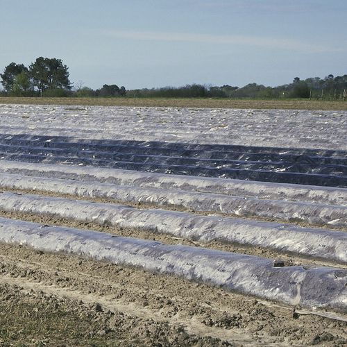 Recubrimiento para horticultura - ASPARALUX - Barbier Groupe
