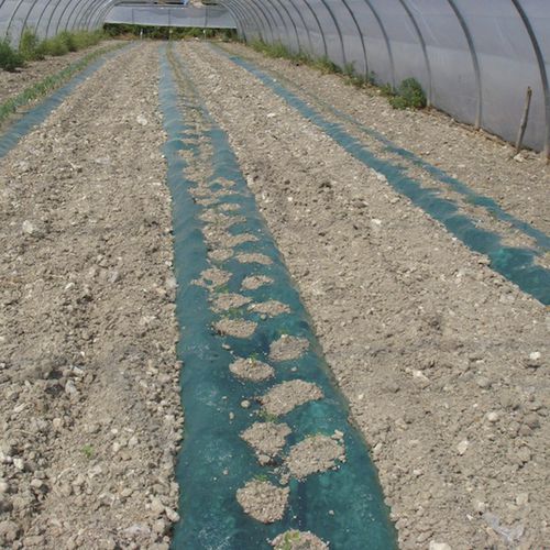 Recubrimiento para horticultura - HERBISTAR - Barbier Groupe