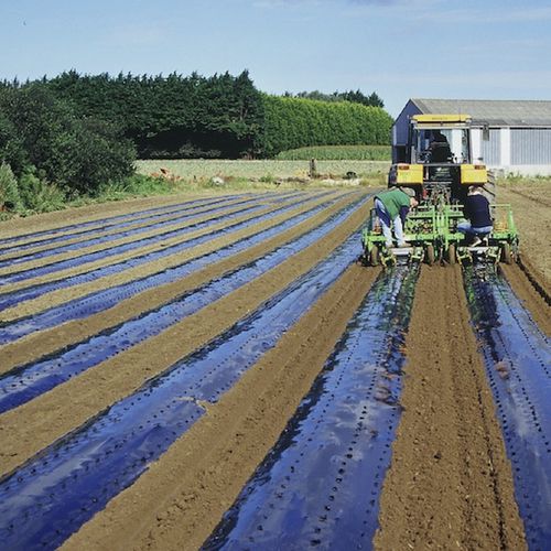 Recubrimiento para horticultura - EXTRA PN - Barbier Groupe