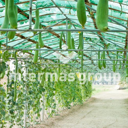 Red cortavientos - ombranetr Series - INTERMAS - sombreadora / de polietileno / para el cultivo comercial de hortalizas
