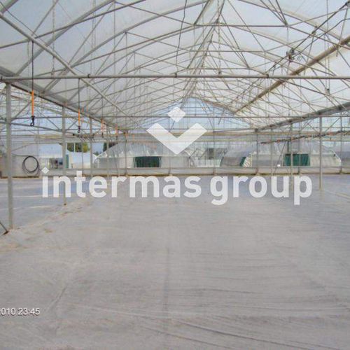 Film para invernadero - INTERMAS