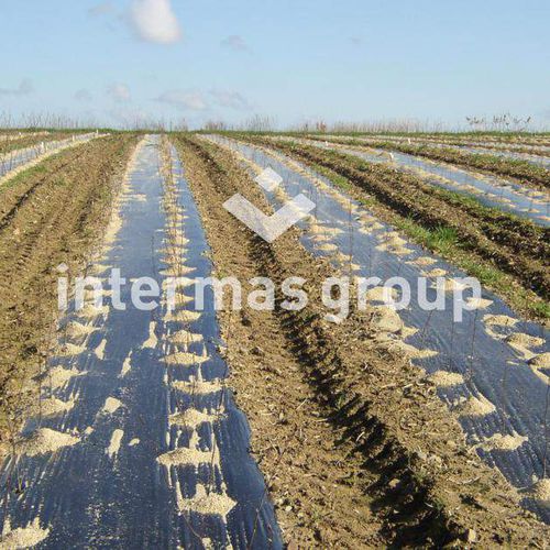 Film de acolchamiento - CELLOBIO - INTERMAS - negro / biodegradable