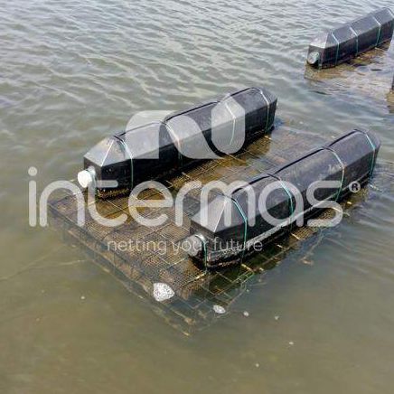 Saco para ostras flotante - NR - INTERMAS - de crecimiento / cuadradas
